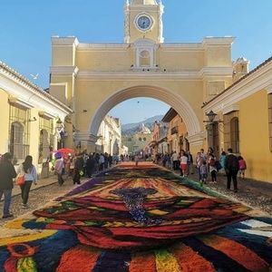 Meet your Posher, Vicky